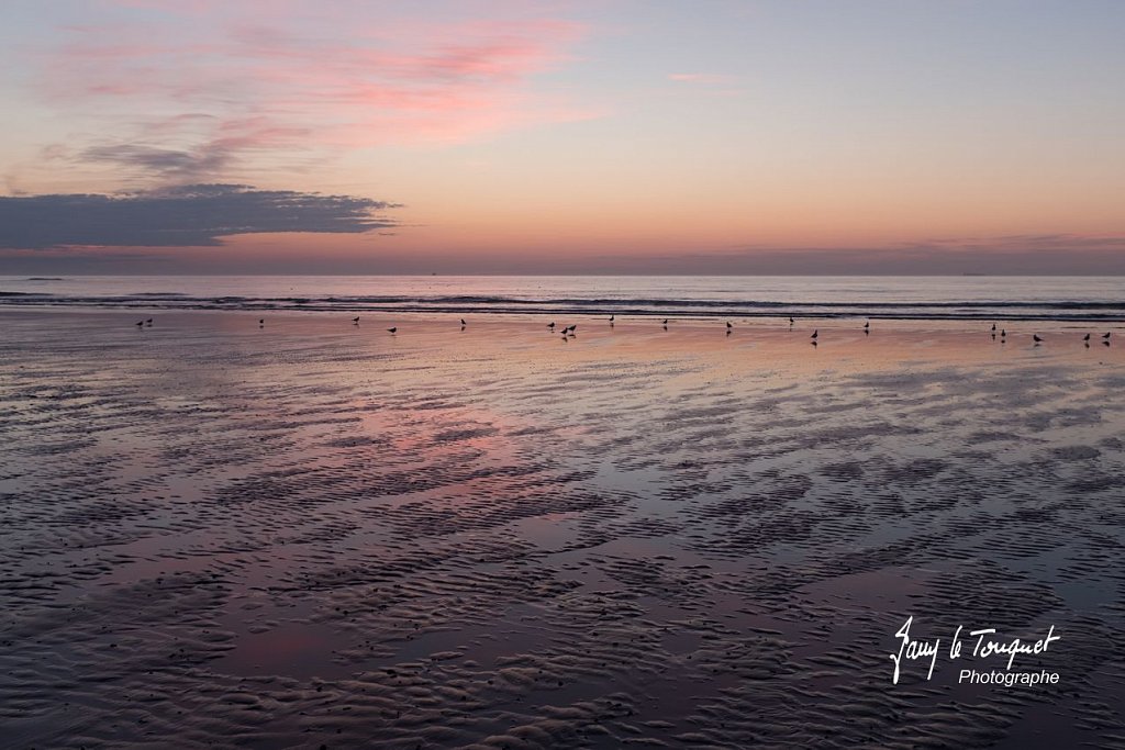 Wimereux-0145.jpg