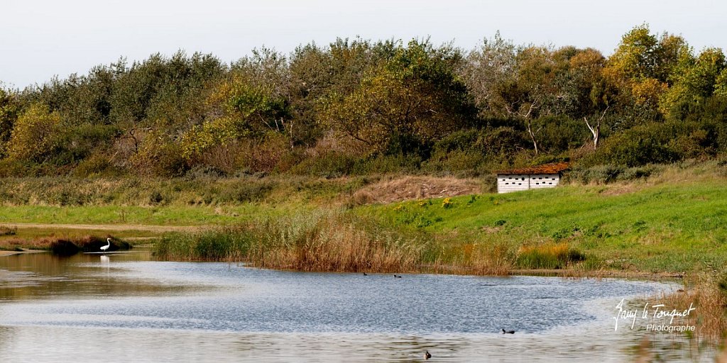 Baie-de-Somme-0132.jpg