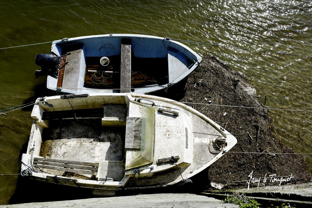 Baie-de-Somme-0057.jpg