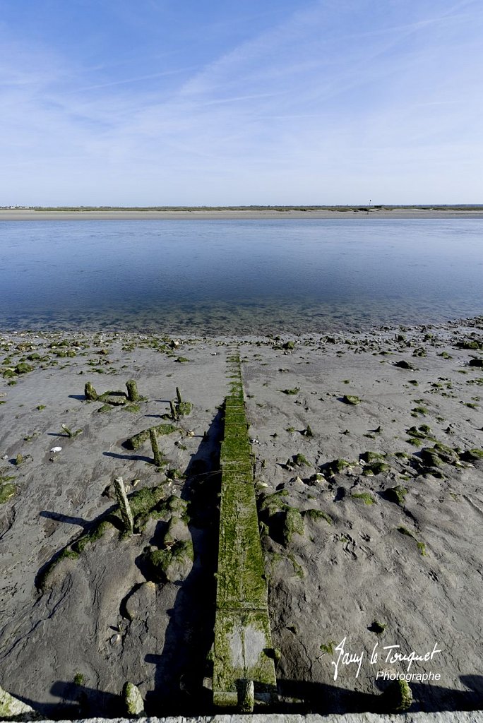 Baie-de-Somme-0045.jpg