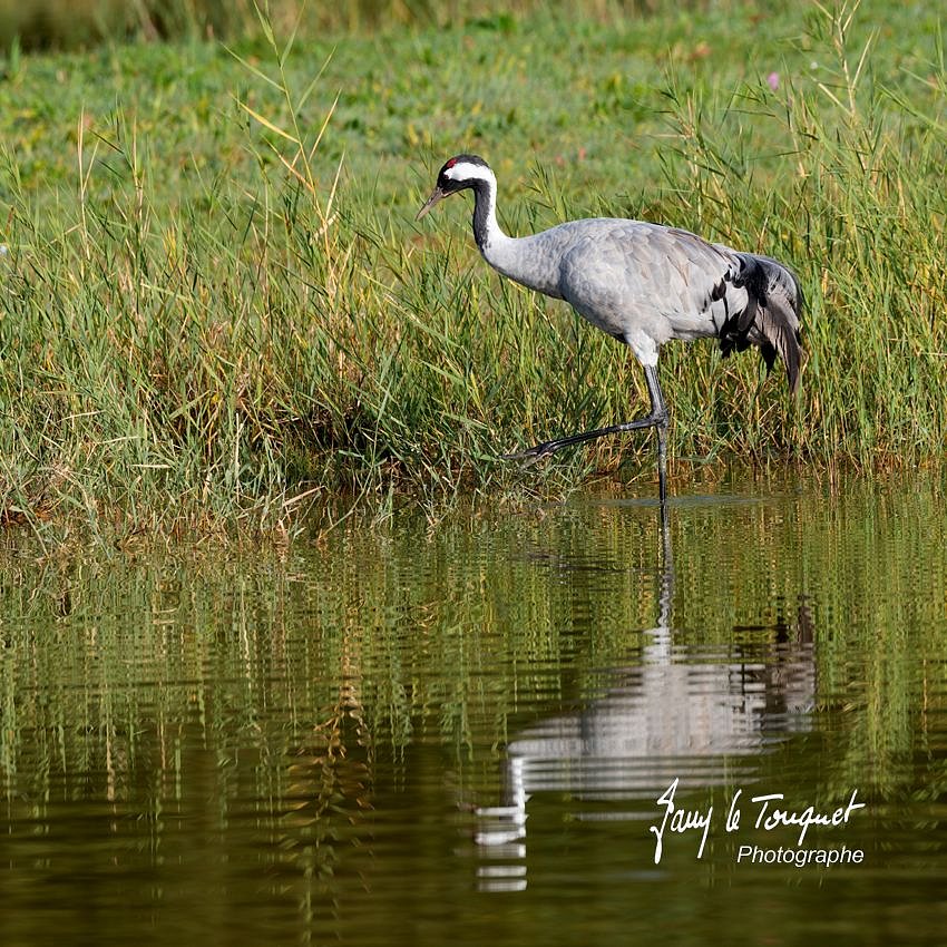 Baie-de-Somme-0109.jpg