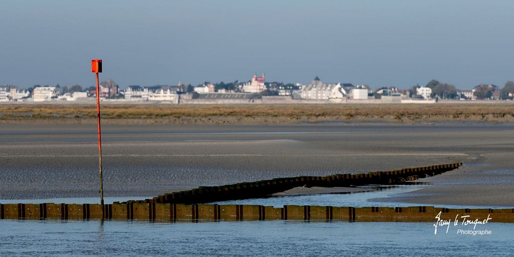 Baie-de-Somme-0149.jpg