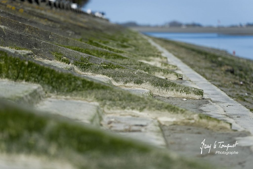 Baie-de-Somme-0038.jpg