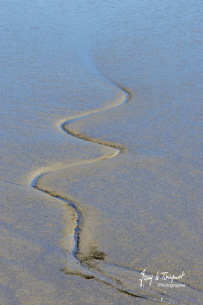 Baie-de-Somme-0166.jpg