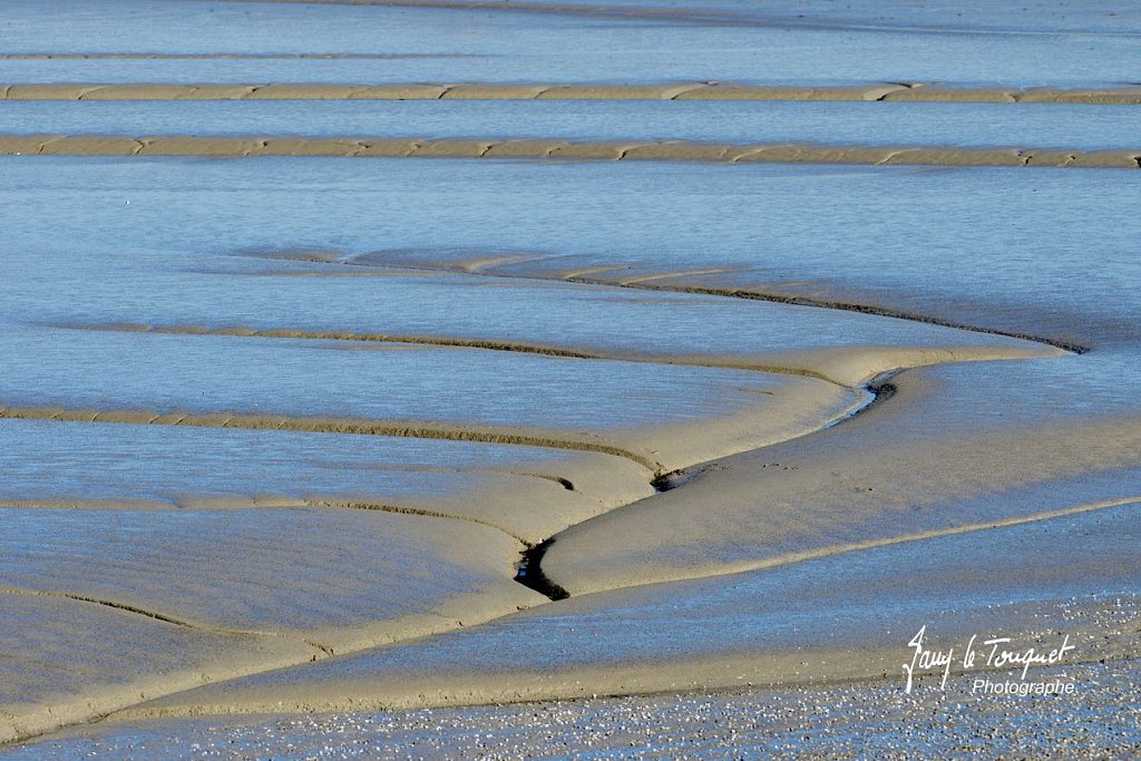 Baie-de-Somme-0167.jpg