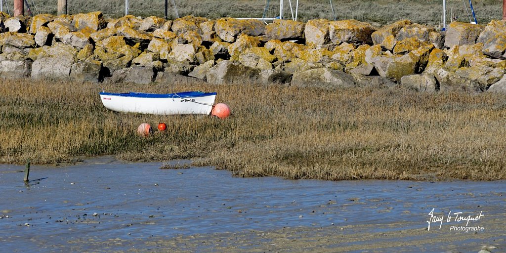 Baie-de-Somme-0171.jpg