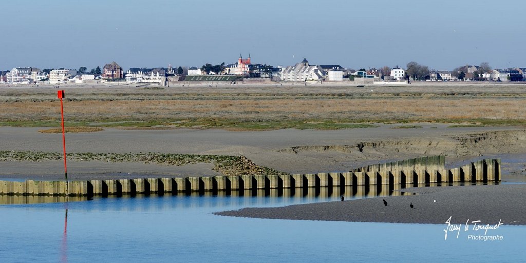 Baie-de-Somme-0178.jpg