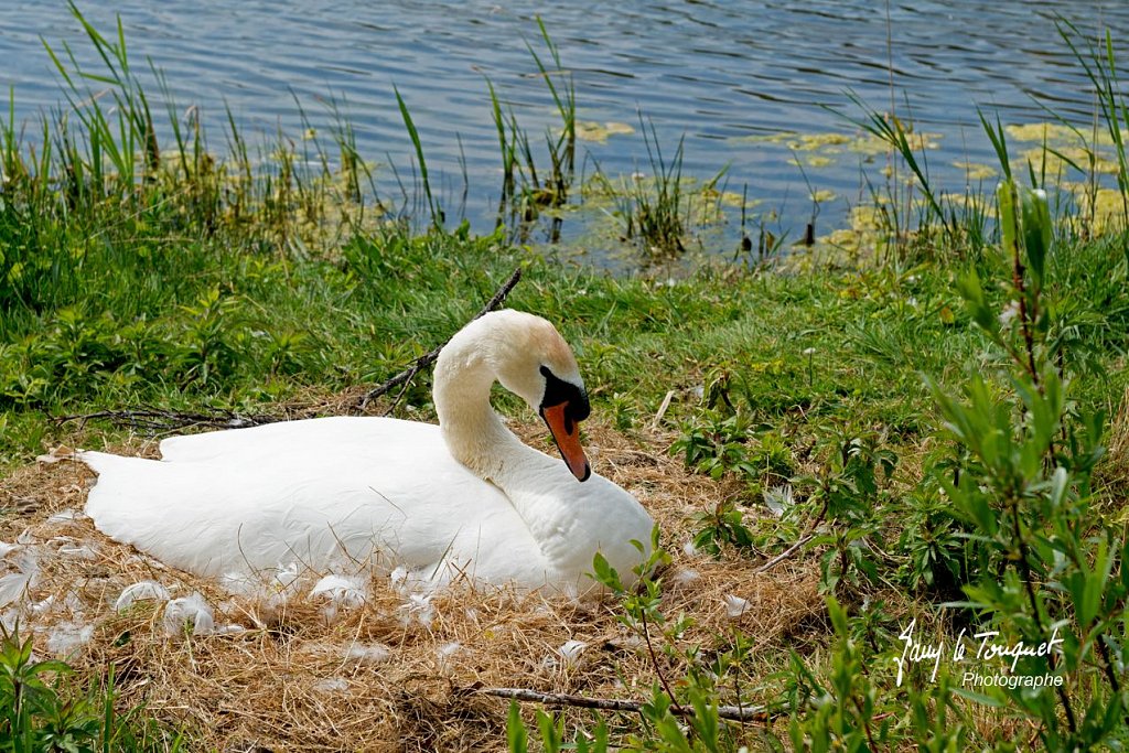 Baie-de-Somme-0204.jpg