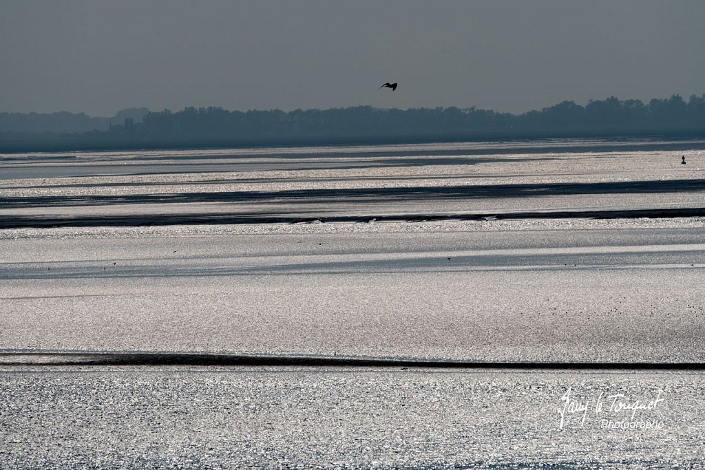 Baie-de-Somme-0218.jpg