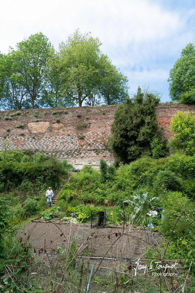 Montreuil-sur-Mer-0126.jpg