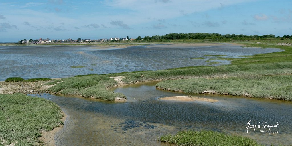 Baie-de-Somme-0229.jpg