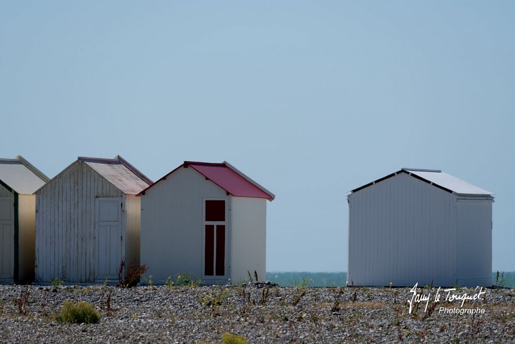 Baie-de-Somme-0261.jpg