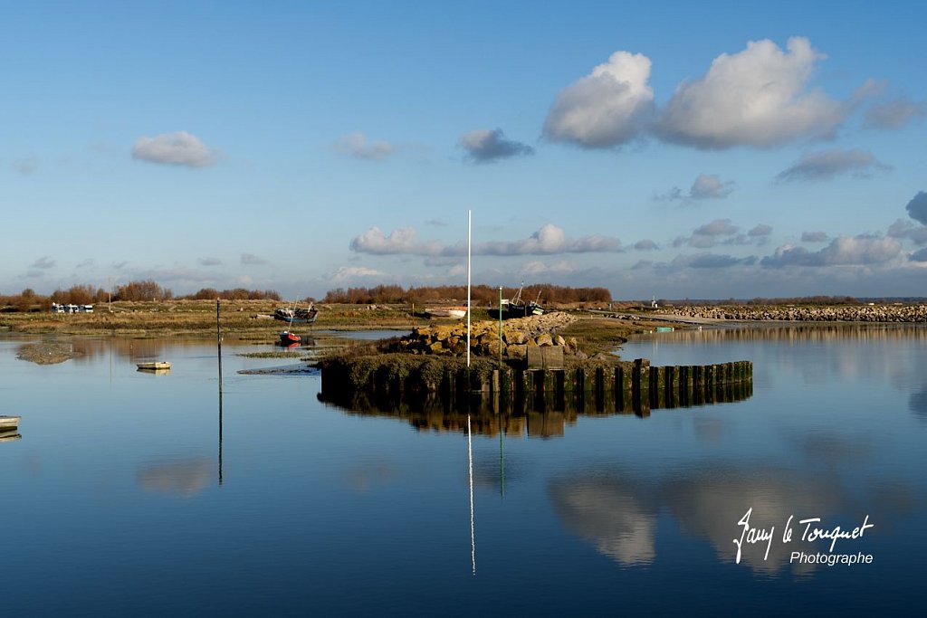 Baie-de-Somme-0282.jpg