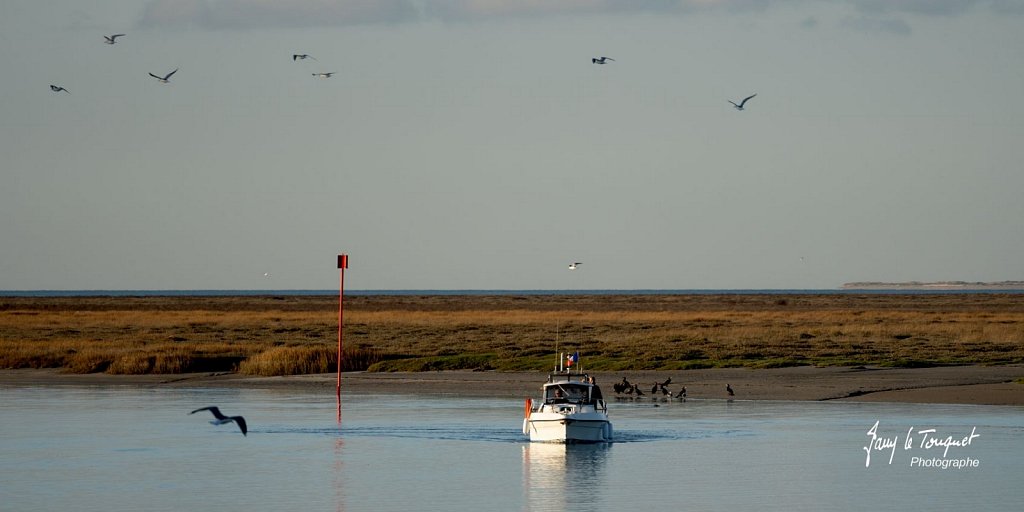 Baie-de-Somme-0285.jpg