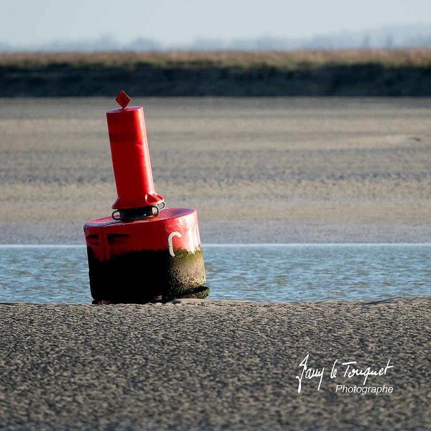 Baie-de-Somme-0298.jpg