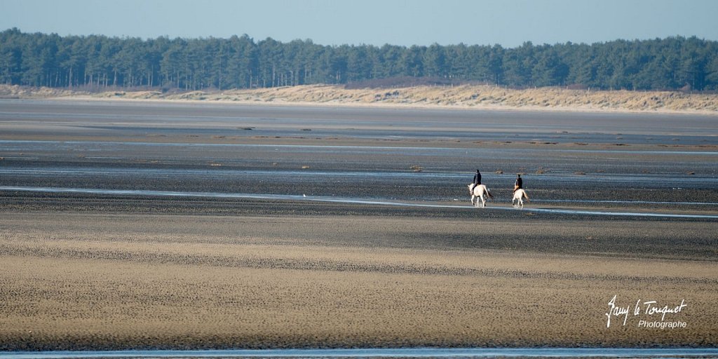 Baie-de-Somme-0300.jpg