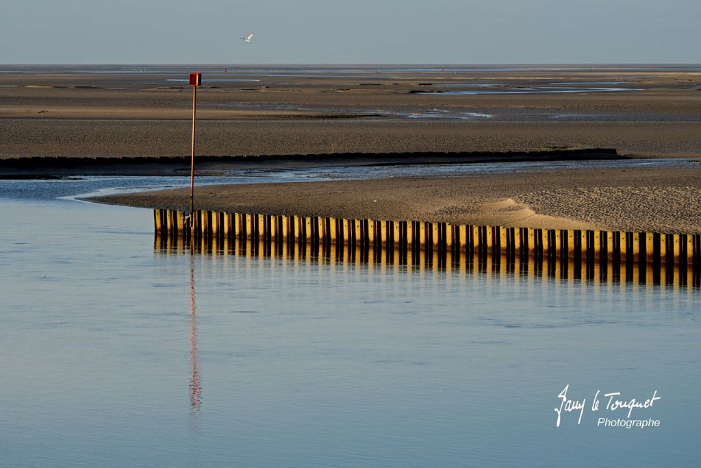 Baie-de-Somme-0303.jpg