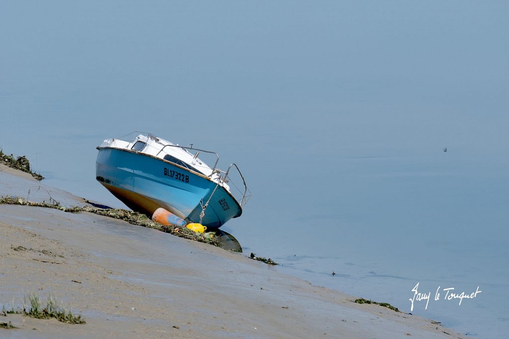 Baie-de-Somme-0311.jpg