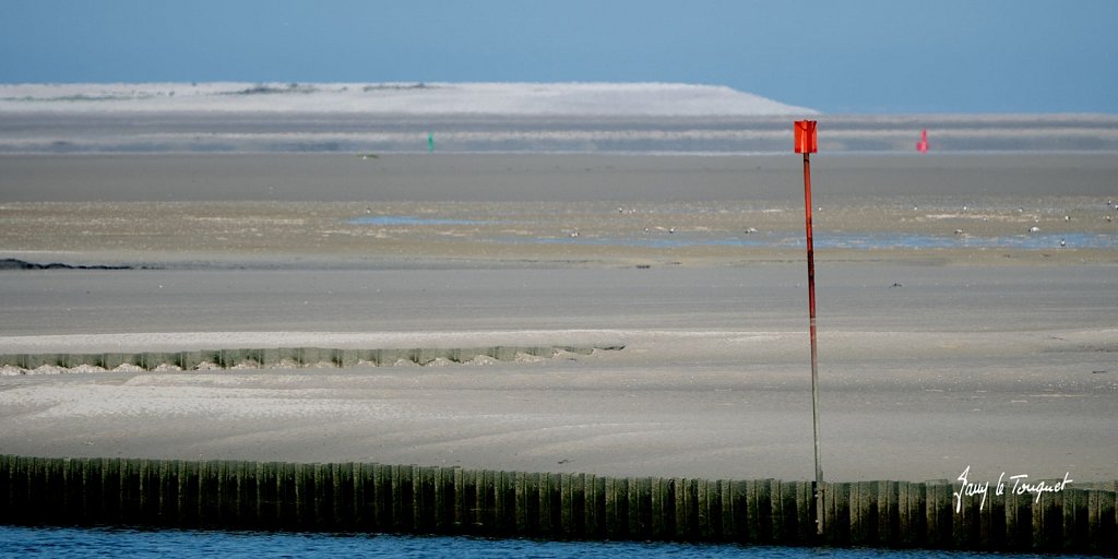 Baie-de-Somme-0324.jpg