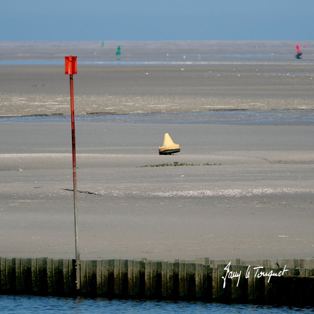 Baie-de-Somme-0325.jpg