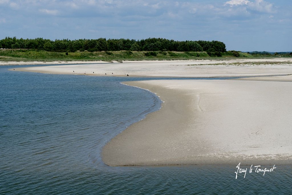 Baie-de-Somme-0336.jpg