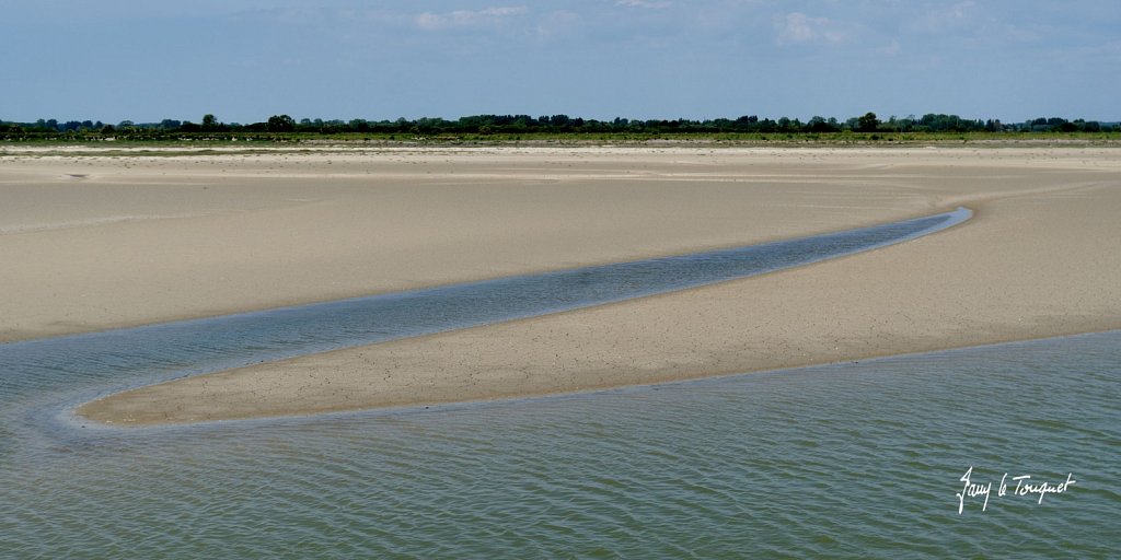 Baie-de-Somme-0338.jpg