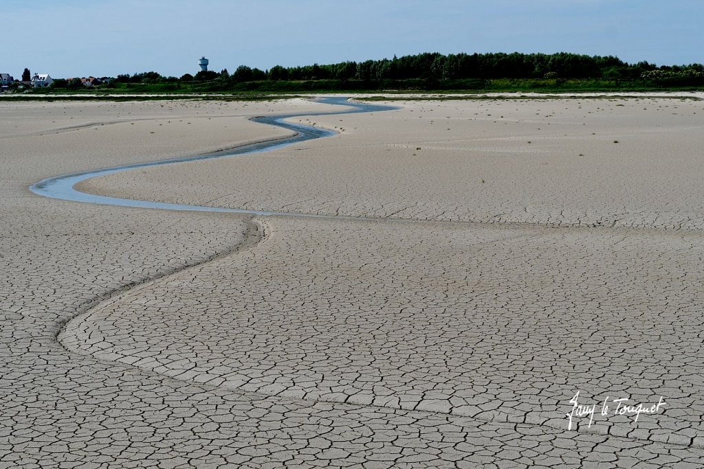 Baie-de-Somme-0340.jpg