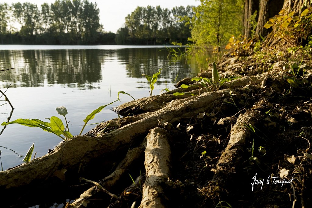 Notre-Campagne-0286.jpg