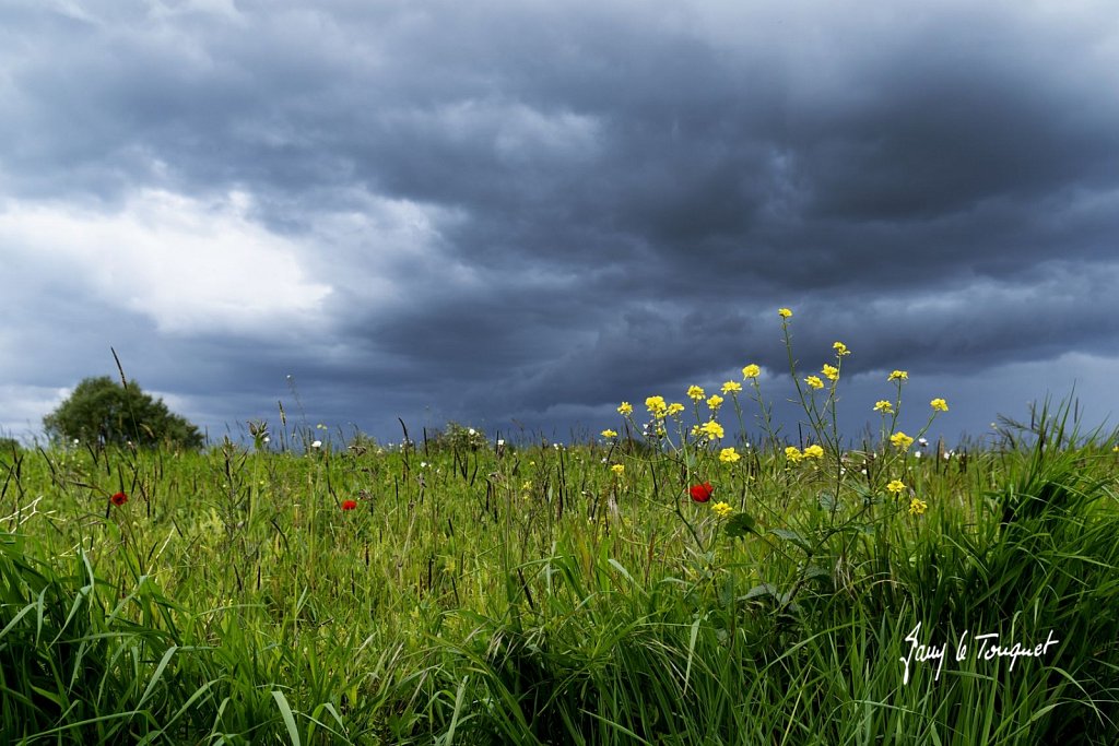 Notre-Campagne-0307.jpg