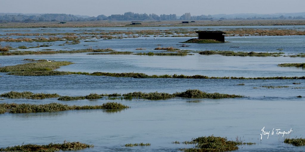 Baie-de-Somme-0352.jpg