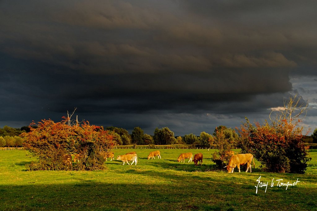 Notre-Campagne-0326.jpg