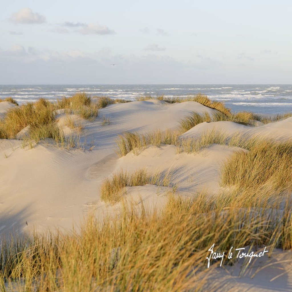 Le-Touquet-0885.jpg