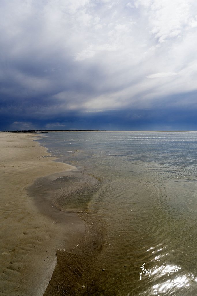 Berck-sur-Mer-0868.jpg