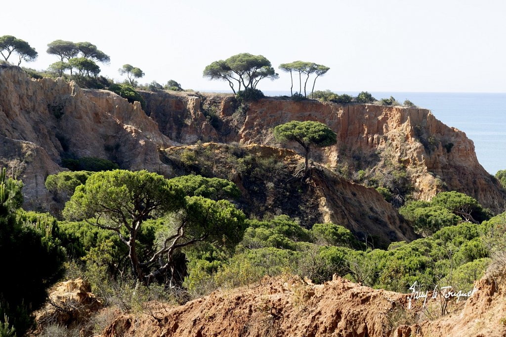 Cote-d-Algarve-0011.jpg