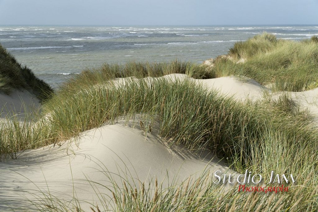 Berck-sur-Mer-0466.jpg