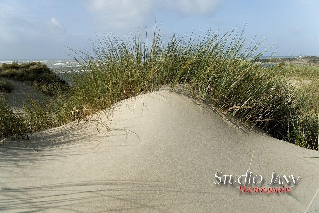 Berck-sur-Mer-0469.jpg