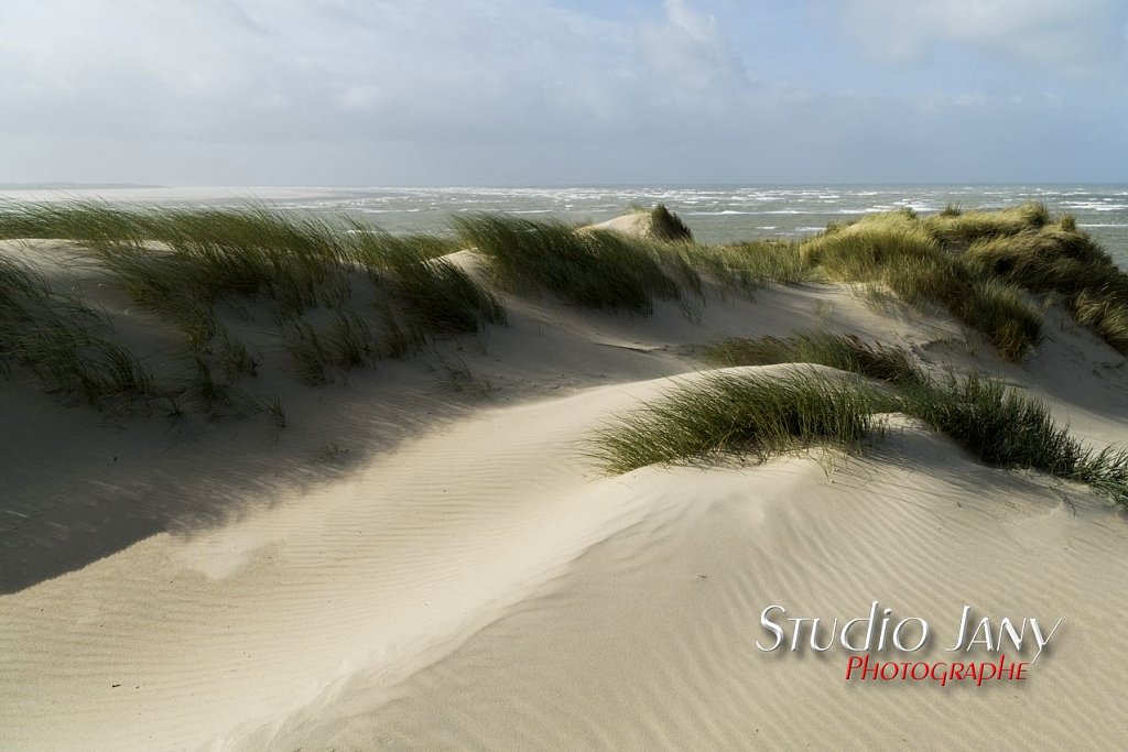 Berck-sur-Mer-0472.jpg