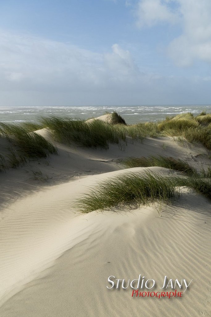 Berck-sur-Mer-0473.jpg