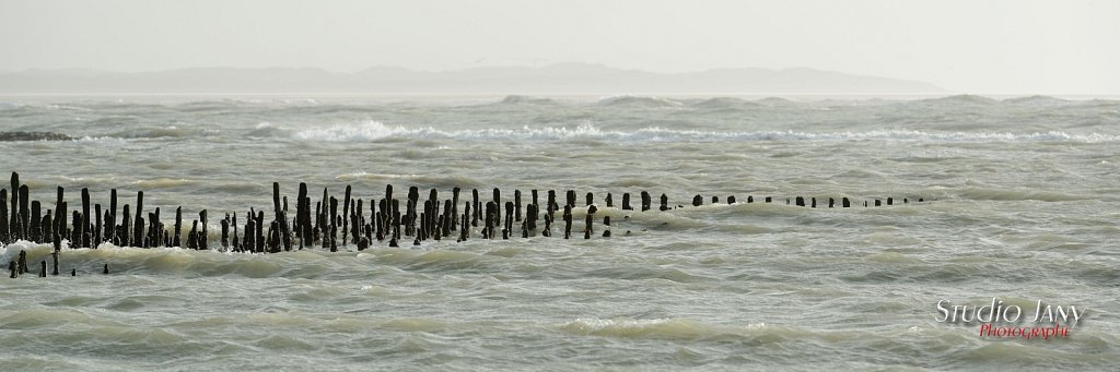 Berck-sur-Mer-0194.jpg