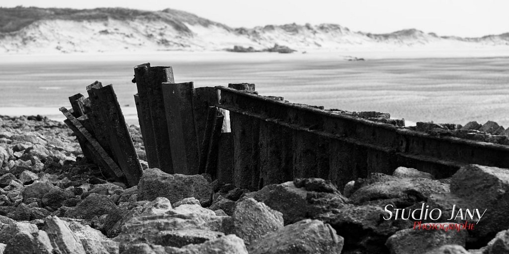 Berck-sur-Mer-0198.jpg