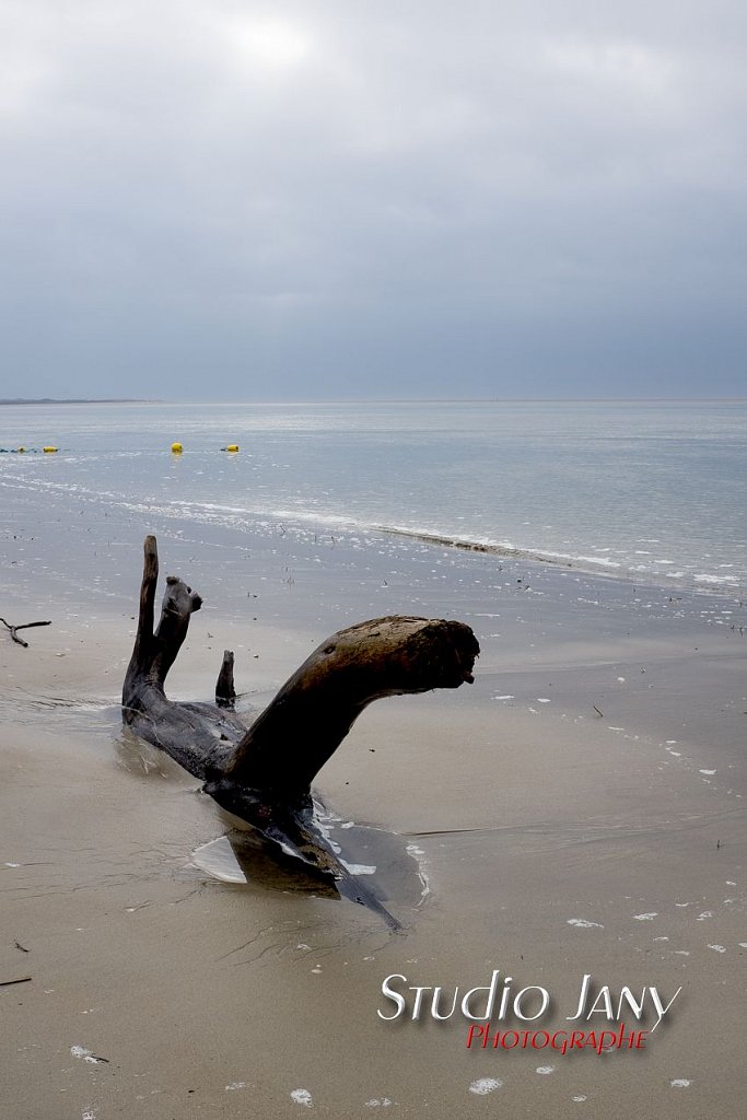 Berck-sur-Mer-0278.jpg