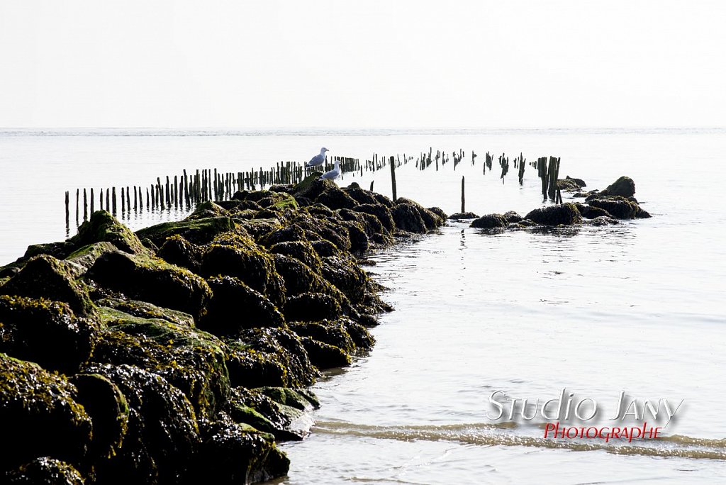 Berck-sur-Mer-0281.jpg