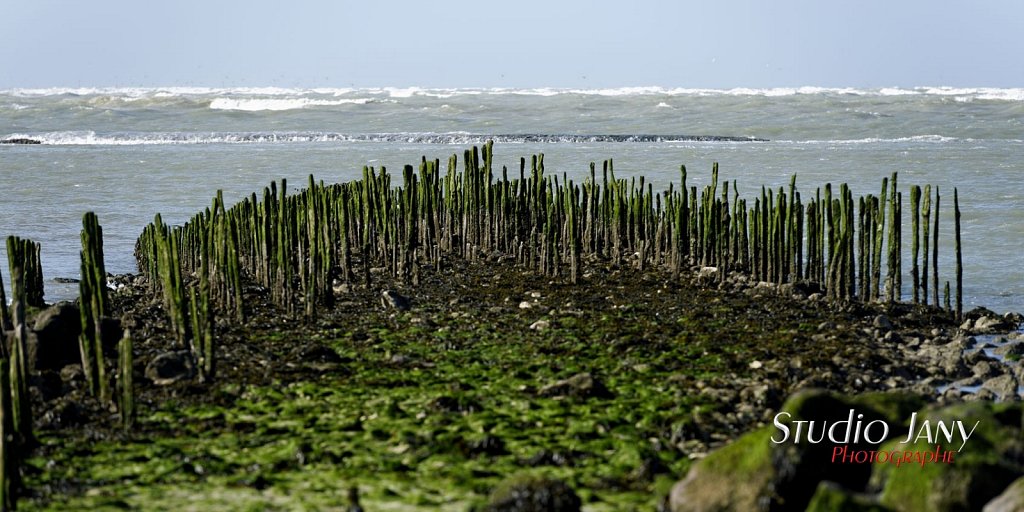 Berck-sur-Mer-0300.jpg