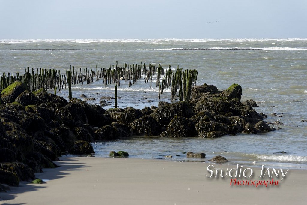 Berck-sur-Mer-0301.jpg