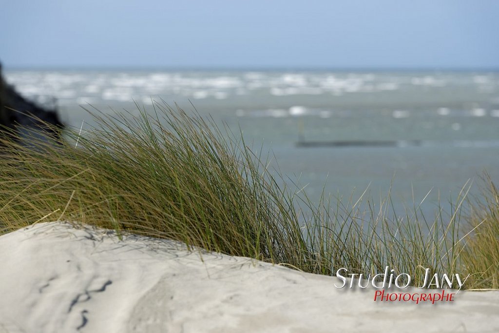 Berck-sur-Mer-0303.jpg