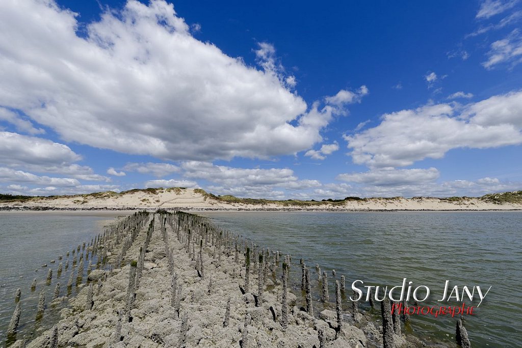 Berck-sur-Mer-0307.jpg