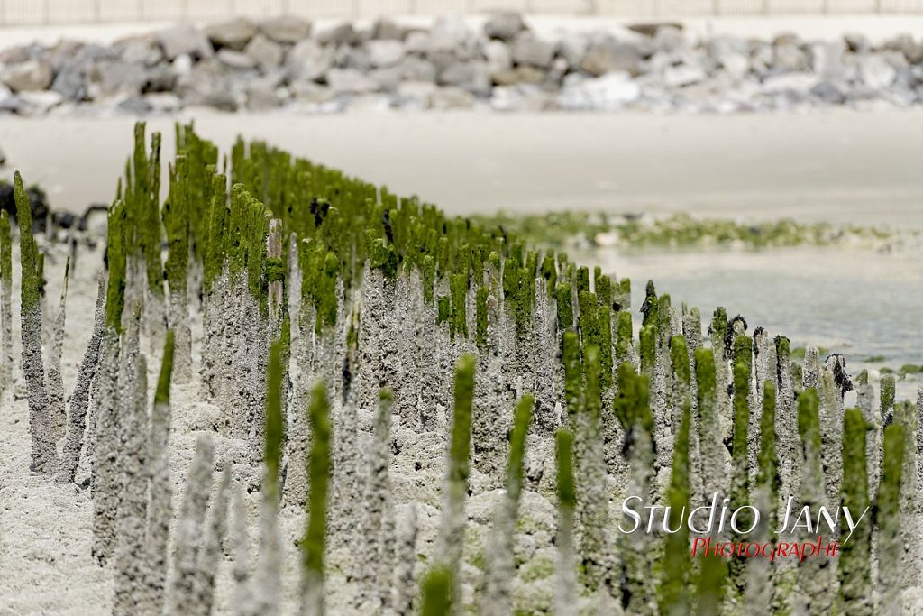 Berck-sur-Mer-0310.jpg