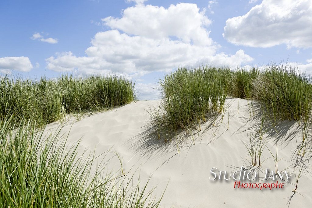 Berck-sur-Mer-0315.jpg