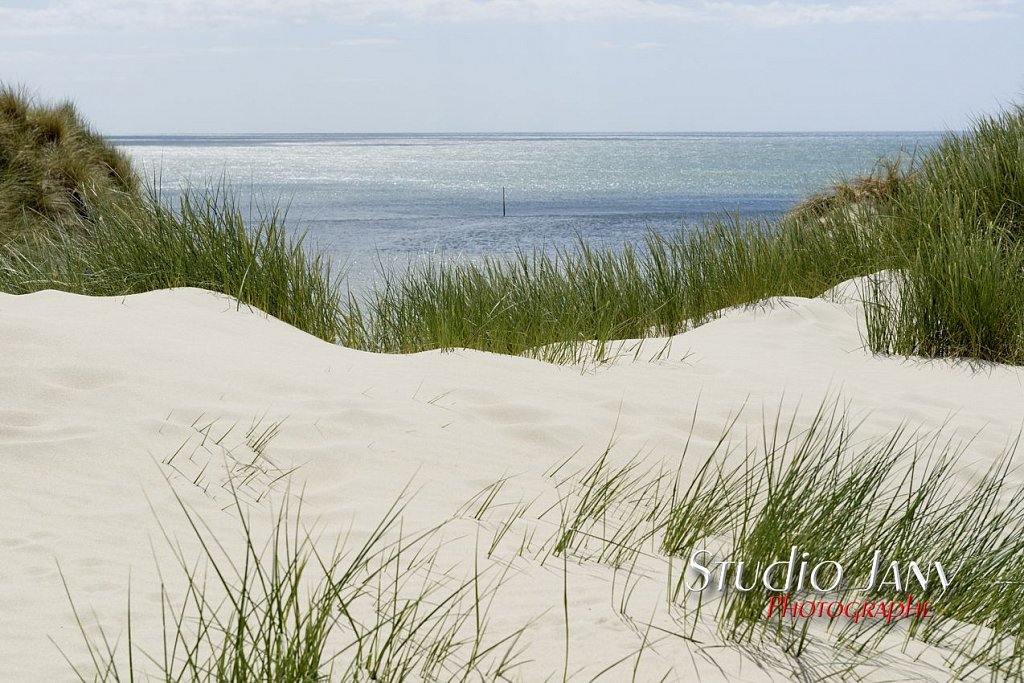 Berck-sur-Mer-0316.jpg