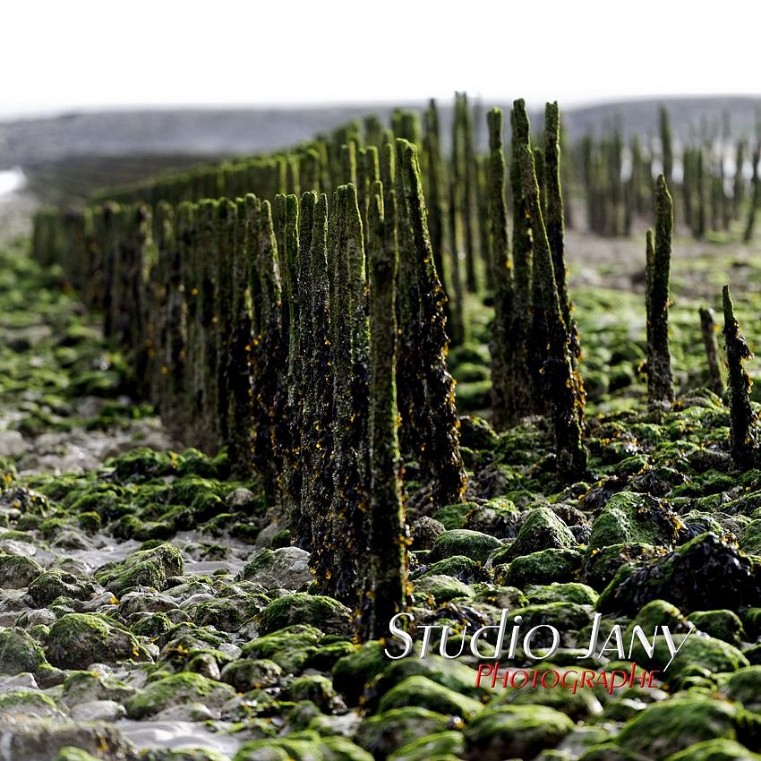 Berck-sur-Mer-0319.jpg